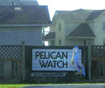 Pelican Watch
